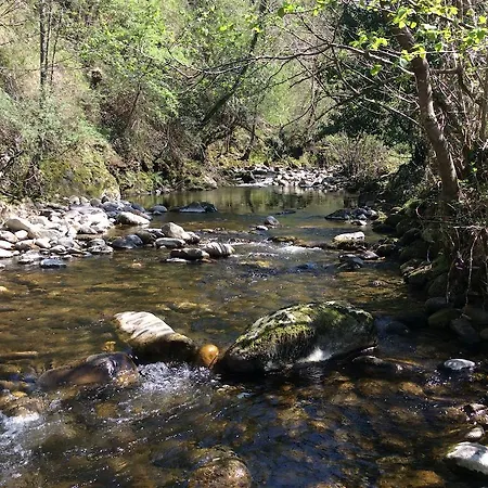 Riomiera