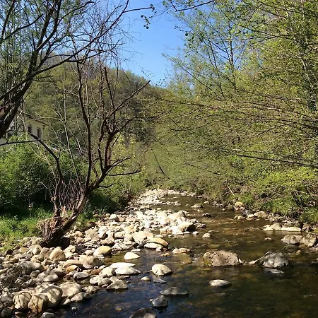 Riomiera